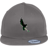 Wilmington Nighthawks New Era Flat Bill Snapback Cap