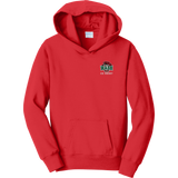 Wash U Youth Fan Favorite Fleece Pullover Hooded Sweatshirt