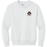 Wash U Youth Core Fleece Crewneck Sweatshirt